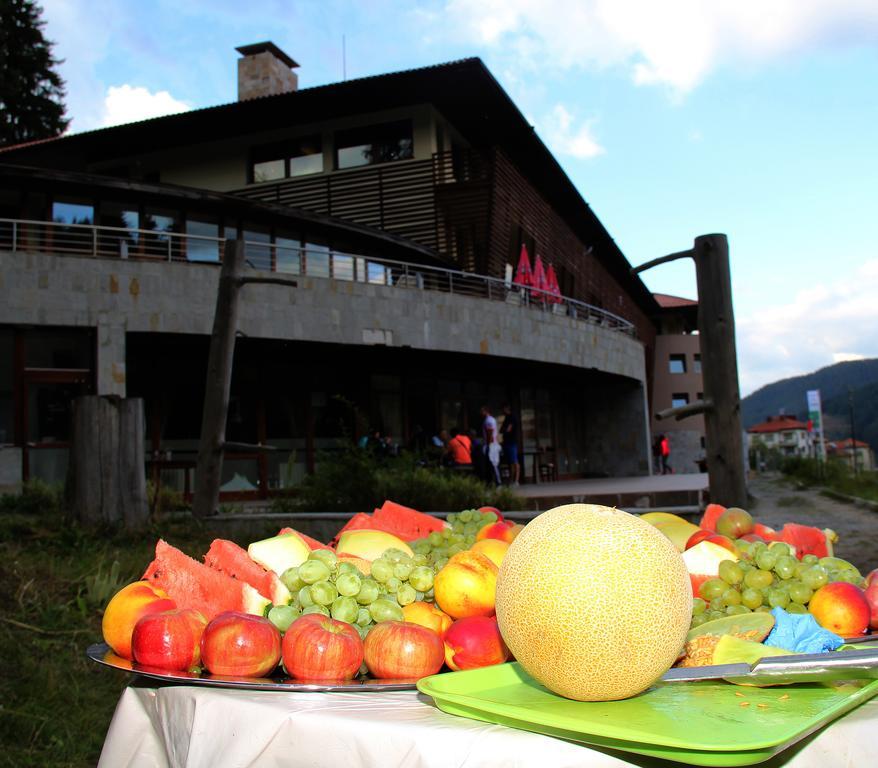 Borika Hotel Chepelare Exterior foto